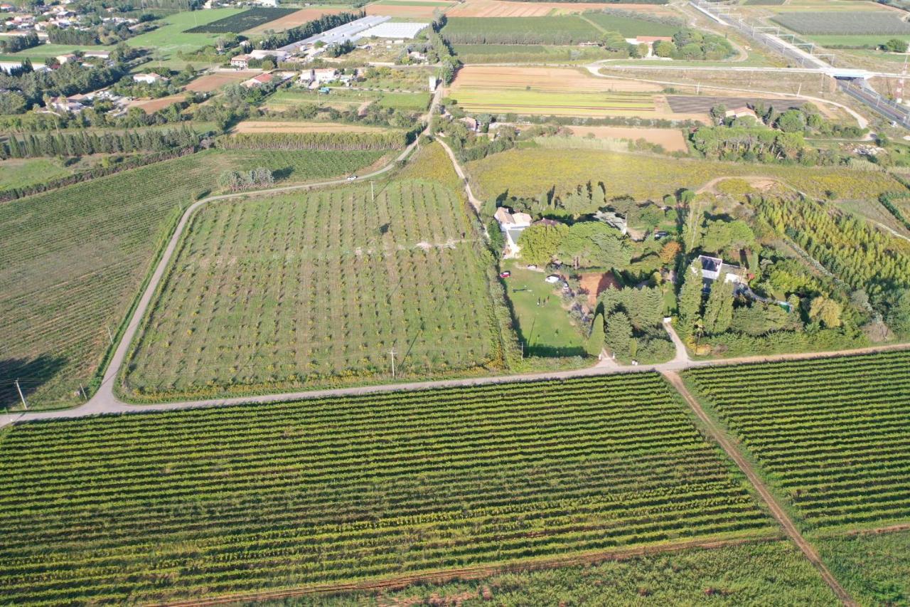Domaine De La Trinite Montpellier - Aeroport - Plages - Arena - Zenith 圣埃尔斯 外观 照片