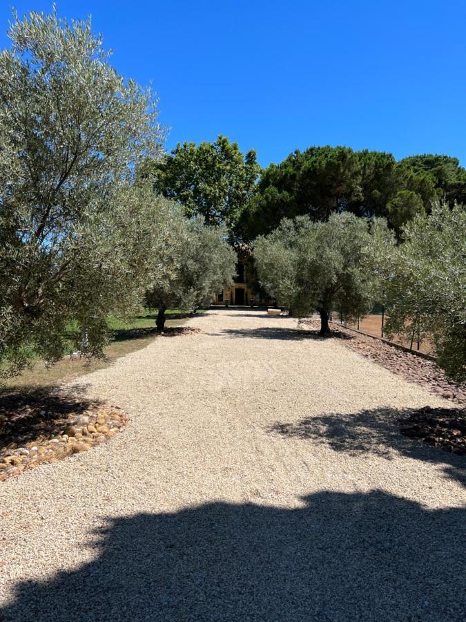 Domaine De La Trinite Montpellier - Aeroport - Plages - Arena - Zenith 圣埃尔斯 外观 照片